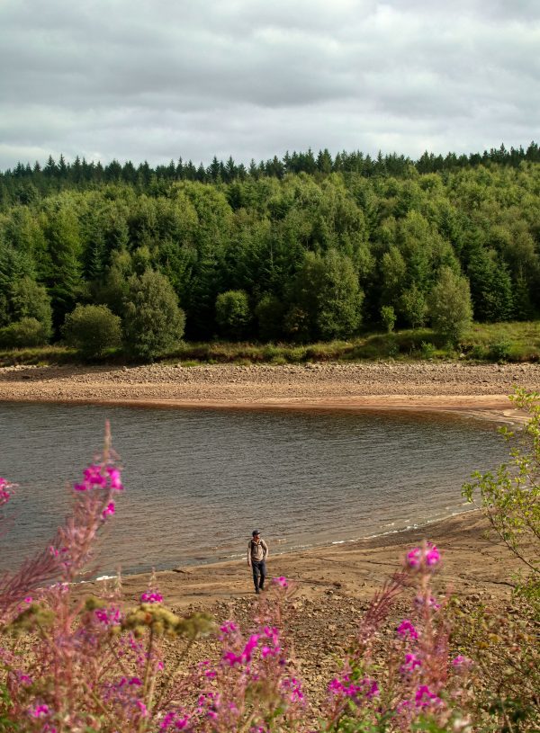 The Best Things to Do in Kielder Forest & Water, Northumberland
